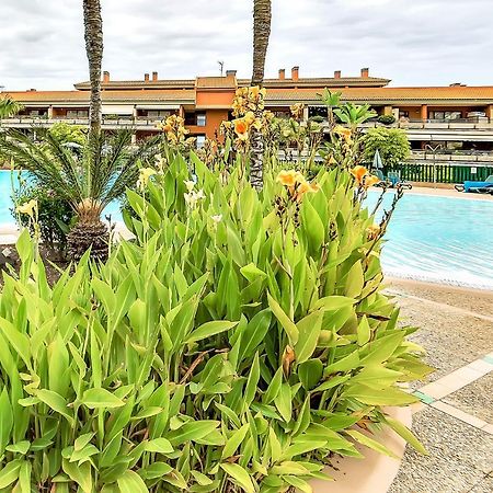 Piscinas Del Teide Apartment Puerto de la Cruz  Exterior photo